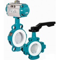 瑞士interapp蝶閥電廠配件閥門(mén)