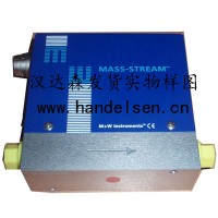 M+W數字式氣體流量計介紹