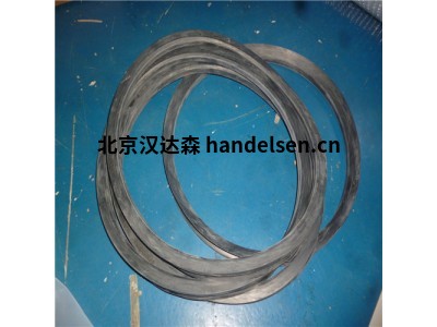 Forsheda聯軸器/密封圈