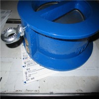 Spirax Sarco 控制系統 C 409.1系列