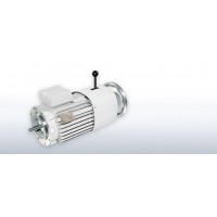 德國VEM節能電機W21R(56~315)