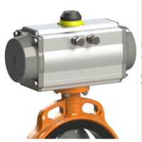 荷蘭WOUTER WITZEL 驅動 執行器 蝶閥 EVL系列