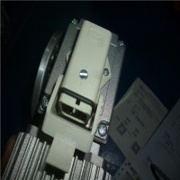 意大利Mini motor減速電機優勢介紹原廠供應