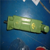 專業銷售單泵R5-Rickmeier