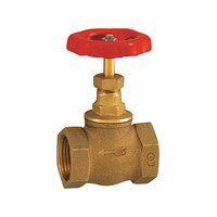 RIEGLER 帶電動執行器的黃銅球閥 230 VAC 德國拼箱空運