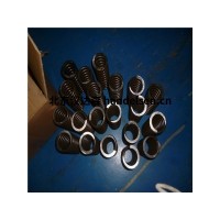 Gutekunst工業用彈簧Z-2061X