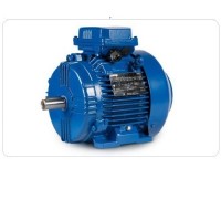 CEMP-IEC 危險區域電機-E3AB 30r 80 MA4技術資料