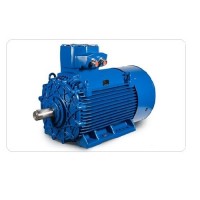 CEMP-IEC 危險區域電機-型號 E3AB 70r 132 SB2用于海產的