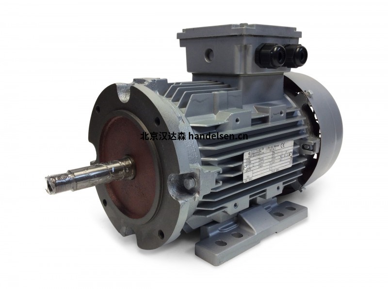 Electramo IE3高效率三相電機