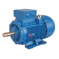 Electramo 雙速三相交流電機MSD132M-2/4