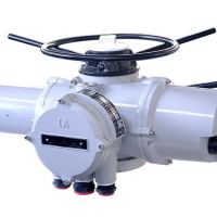 德國羅托克ROTORK閥門執行器