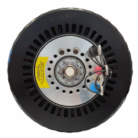 EMRAX軸向磁通電機 348 連續扭矩：高達 500 Nm