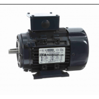 意大利CEMP安全區域電機TC系列技術參數