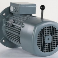 VEM制動電機IE2-W21R 80 K2  多應用鋼鐵和軋機行業(yè)