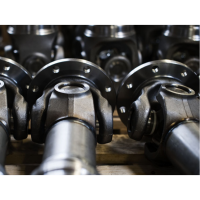 WiCHMANN100系列聯(lián)軸器M免維護交叉關(guān)節(jié)