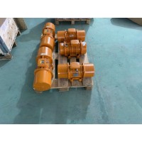 Italvibras G. Silingardi MVSI 10/6500-S0軸向聯軸器電動振動器