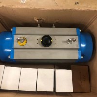 德國Pompe Cucchi 齒輪泵CPP3/38X001用于食品加工行業使用