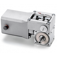 Mini Motor 蝸輪蝸桿直流減速電機BC2000-24MP，永磁直流電，全封閉