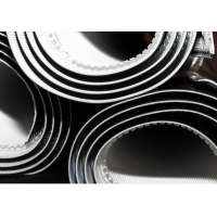 Habasit 生產(chǎn)織物輸送帶、塑料模塊化傳送帶和鏈條、動力傳動帶