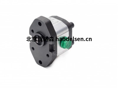 西班牙Roquet齒輪泵1M1IF09R具有自動橫向調節功能