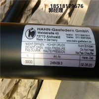 德国Hahn Gasfedern不锈钢拉伸弹簧G08-19ST-28995国内现货